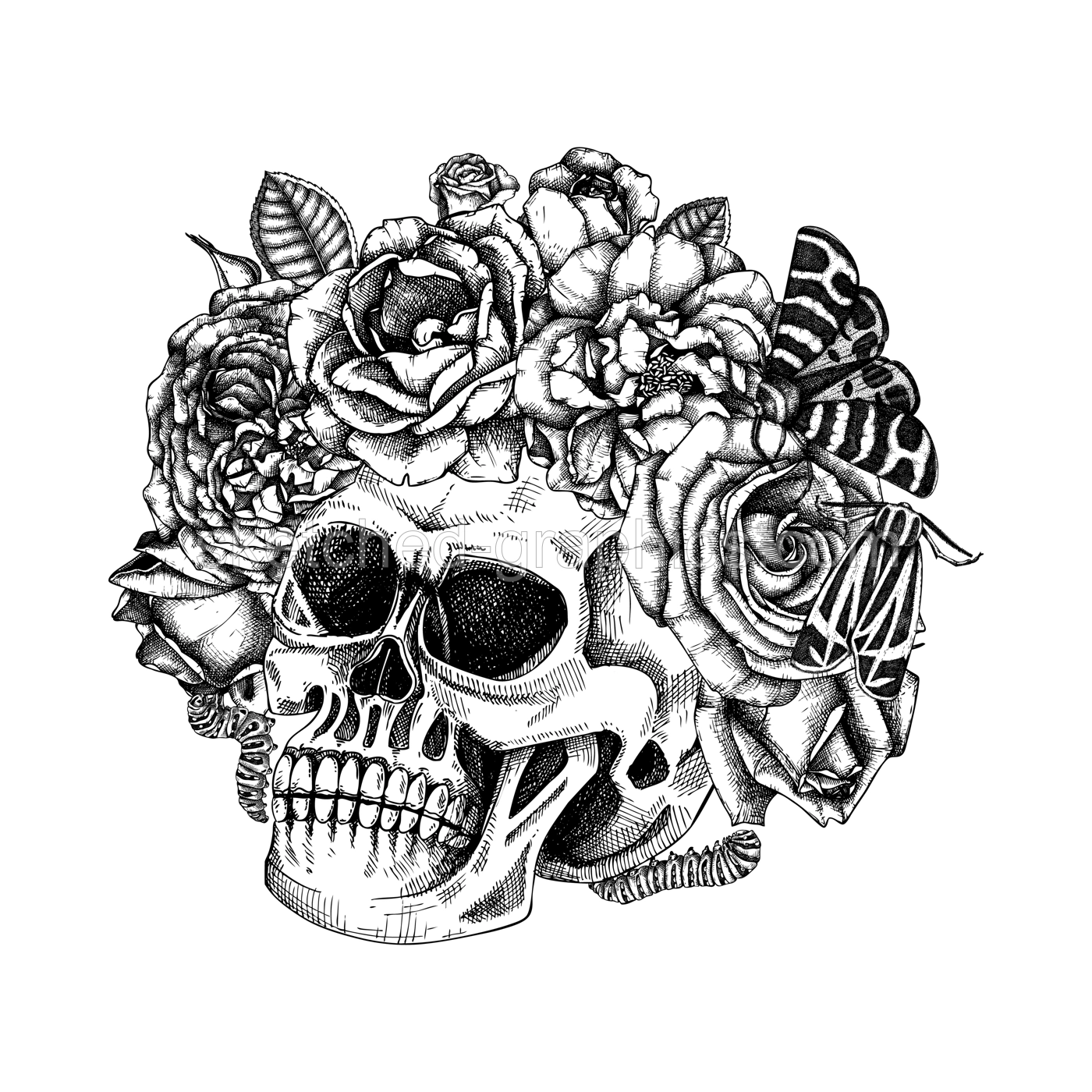 Skull with rose flowers and moth sketch.  Day of the death hand drawn vector illustration. Halloween design element. For poster, print, flyers, invitations.  Illustration